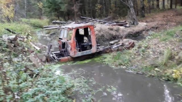 Борьба с бобрами. смотреть онлайн
