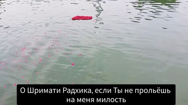 Рагхунатха дас Госвами - книга. Буктрейлер [Еng, RU] смотреть онлайн