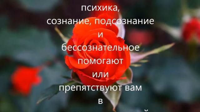 Техника исполнения желаний видео