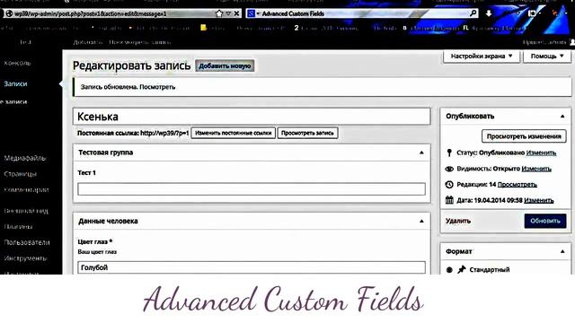 Wordpress Advanced Custom Fields - Advanced Custom Fields смотреть онлайн