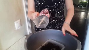 Как хранить купленные зимой флоксы и другие многолетники