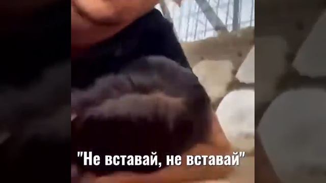 Какая реакция будет у любого человека и страны, если такая ситуация будет у вас ?! смотреть онлайн