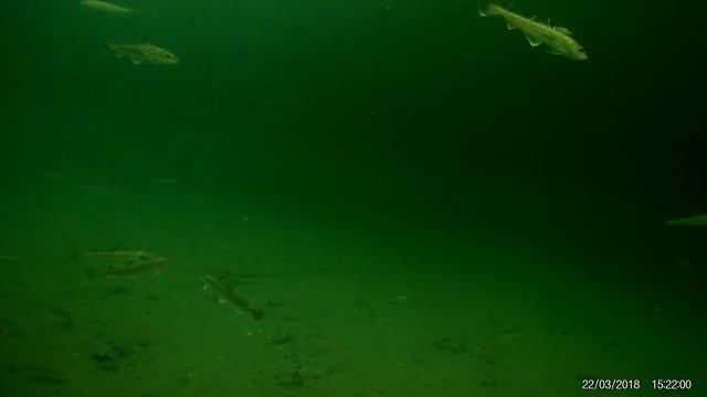 Сахалин рыбалка. 67км 22.03.18 смотреть онлайн