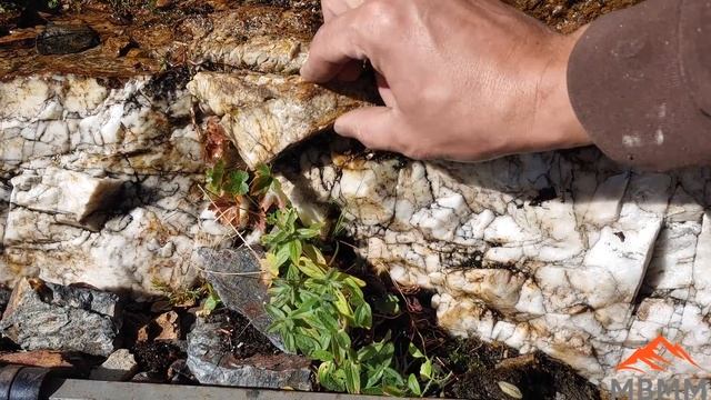 How To Find Gold смотреть онлайн