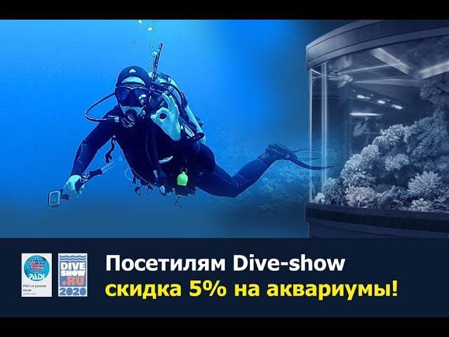 Dive-Show-2020 смотреть онлайн