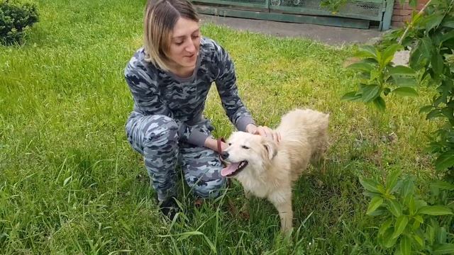 После тяжёлой травмы Бланка ходит! смотреть онлайн