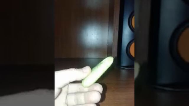 КАЧЕСТВО ПРОДУКТОВ ИЗ САЙТА WISH Проверка смотреть онлайн