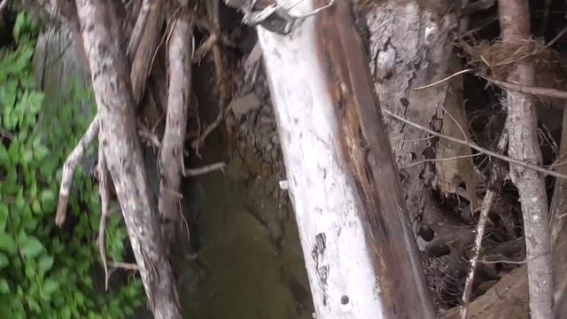 Рыбалка на Сахалине. Форель. Бошняково. смотреть онлайн