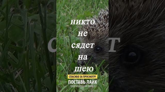 5,4,3,2,1... смотреть онлайн