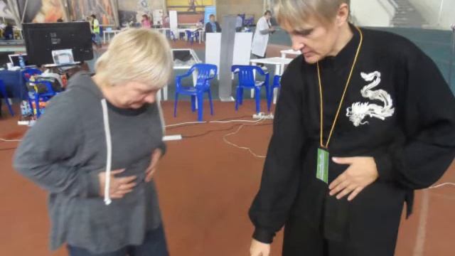 Мастер-класс по Сюань Юань Нейгуну смотреть онлайн