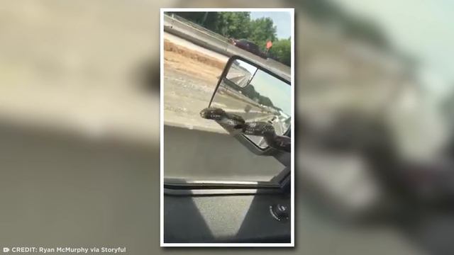 People Having a Worse Day Than You - Part 4 смотреть онлайн