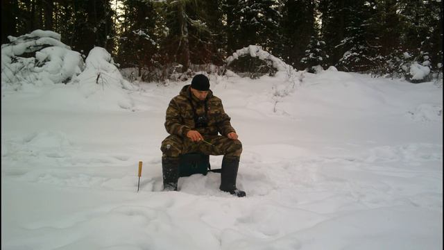 Безмотылка на лесном ручье смотреть онлайн