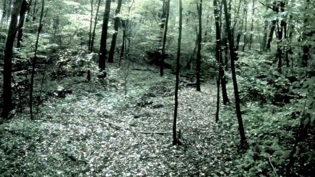 The Nephilim - A Monster Among Us смотреть онлайн