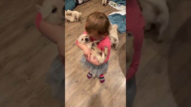 Cute Baby With A Cute Puppy | Puppy Love | #puppy смотреть онлайн