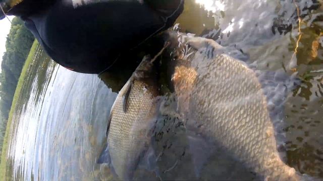 Дневная подводная охота на Амура. Подводная охота на Кармановском водохранилище. смотреть онлайн