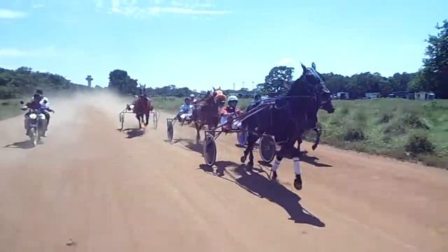 1.catrilho.2.07.64.2.tostado.2.08.95.3.h.junior.4.florence.5.som. смотреть онлайн