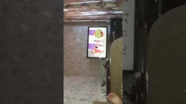 Тарки смотреть онлайн