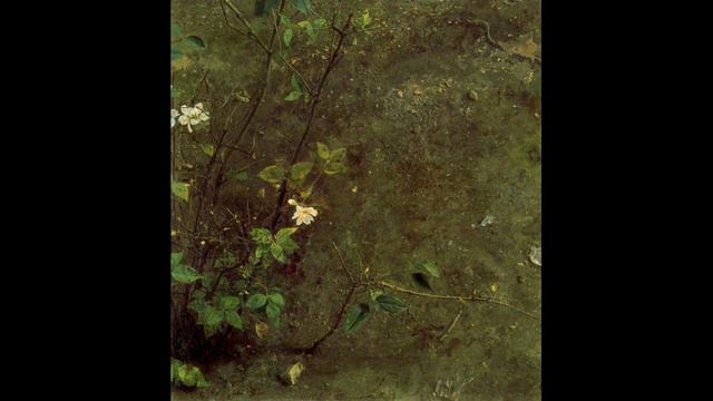 Friedrich Krebs – Die Trostorgel Der Schloßkirche Zu Altenburg