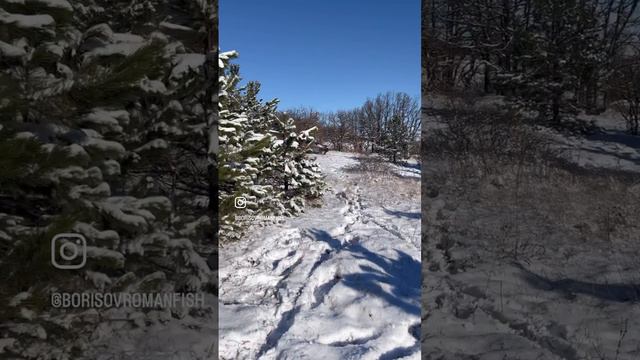 Зима 2024 Крым