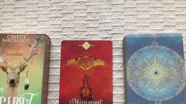 The Spirit Animal Oracle 39/68 Moth Spirit guide book audio description смотреть онлайн