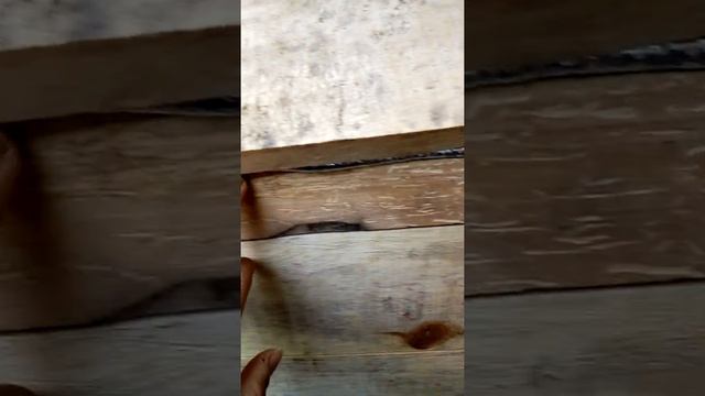 КАК УТЕПЛИТЬ БУДКУ!! ? НА ЗИМУ!!!! смотреть онлайн