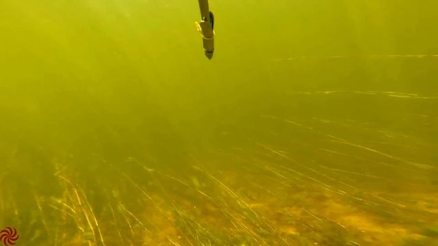 Volga River. Spearfishing on the Volga. Подводная охота на Волге смотреть онлайн