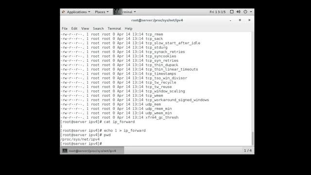 Using Linux as a NAT Masquerade Router смотреть онлайн