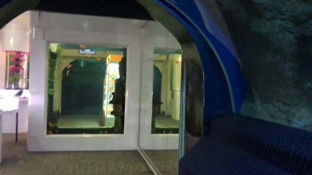 UNDERWATER WORLD, ОКЕАНАРИУМ В ПАТТАЙЕ, ТАИЛАНД смотреть онлайн