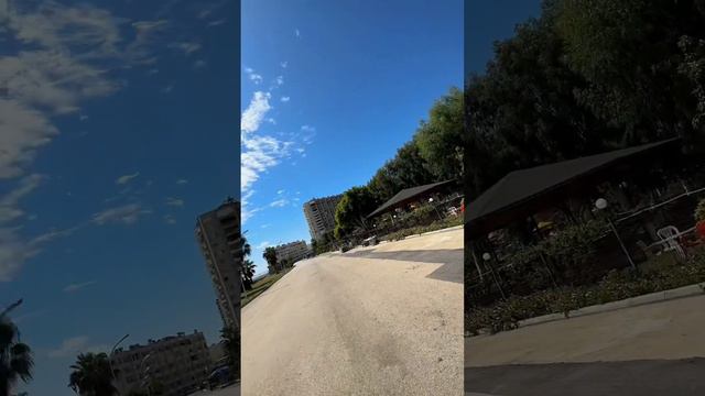 Пальма 🌴 #пальмы #турция #новости #алания #анталия #мерсин #отдых #отпуск #жизньвтурции смотреть онлайн