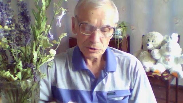 "Акула". Л.Н.Толстой смотреть онлайн