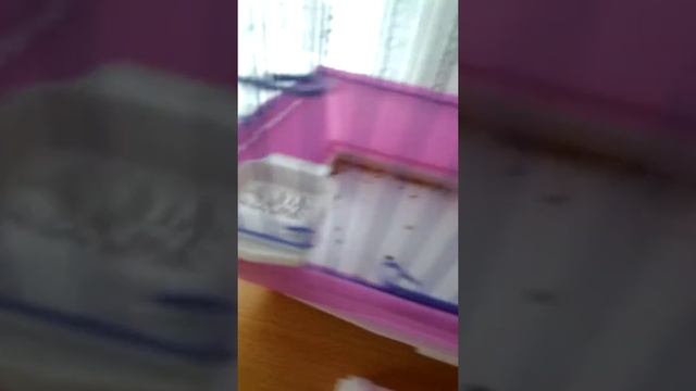 Первое видио о попугайчике тиша смотреть онлайн