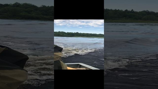 Едем на рыбалку на двух лодках, красота летняя, НХНЧ