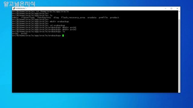 오라클 아카이브(Oracle Archive) смотреть онлайн