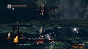 Черный Дракон Каламит Dark Souls  Дарк Соулс - тактика как убить, как победить босса. Автор VeLiD