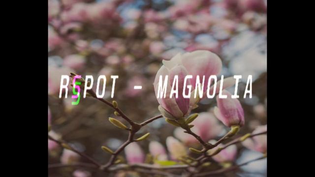 [FREE] "Magnolia" - PIERRE BOURNE x PLAYBOI CARTI x Lil Uzi Vert x YOUNG THUG Type beat смотреть онлайн