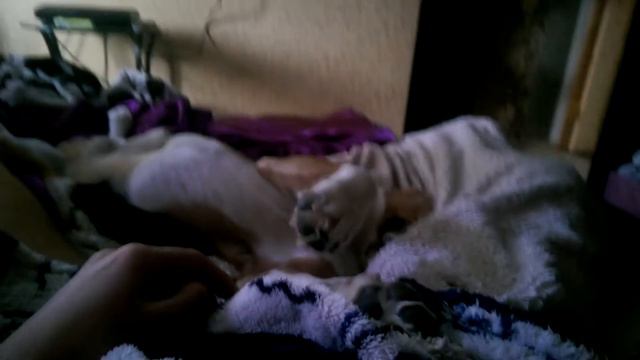 Неваляшка смотреть онлайн