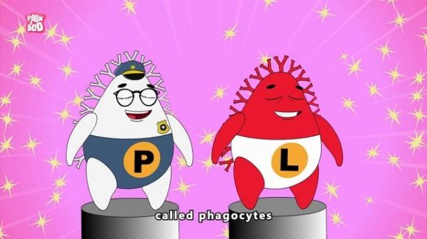 How Does Your Immune System Works?| What Is Immune System? | The Dr Binocs Show | Peekaboo Kidz