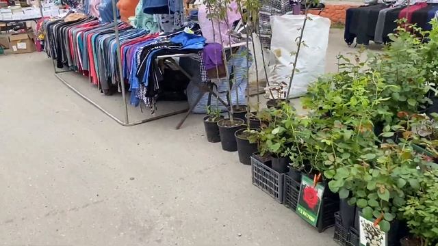 Едем покупать кур в Александров, рынок, выходные смотреть онлайн