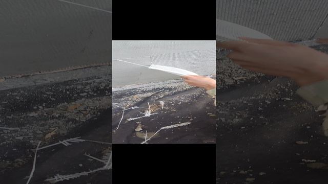 1000080759.mp4 смотреть онлайн