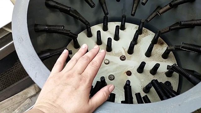 Разгрузка бройлеров перед забоем//Чем удобен шпарчан//Забой кур бройлеров смотреть онлайн
