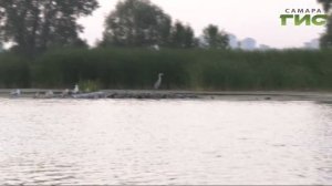 С этого года увеличили штрафы на ловлю рыбы с использованием сетей