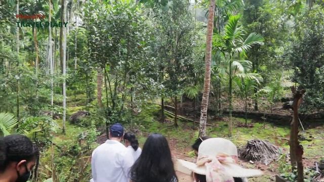 Goa part03 Sahakari Spice Farm смотреть онлайн