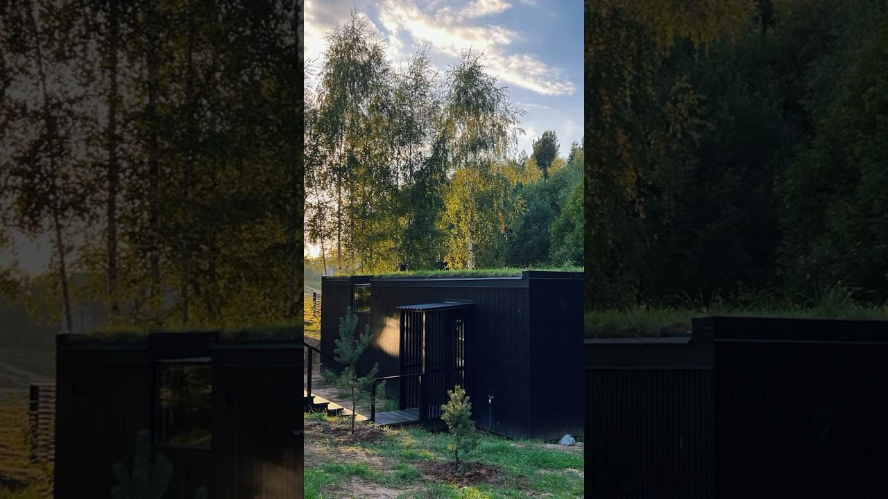 Развеиваем мифы о зеленой кровле #zrobimarchitects смотреть онлайн