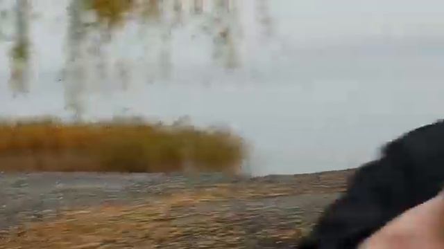 СВП Хивус 6 смотреть онлайн
