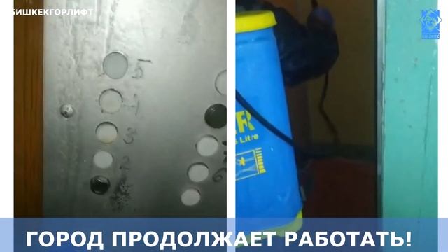Дезинфекция лифтов смотреть онлайн