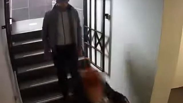 Наглая кража портмоне у женщины в Кишиневе попала на видео смотреть онлайн