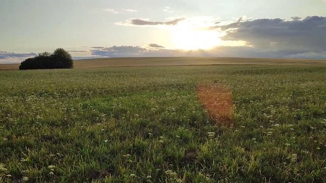 саня фартовый снова в деле смотреть онлайн