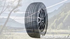 Летние шины kumho ecowing es31 175/70 r14 Отзывы Обзор