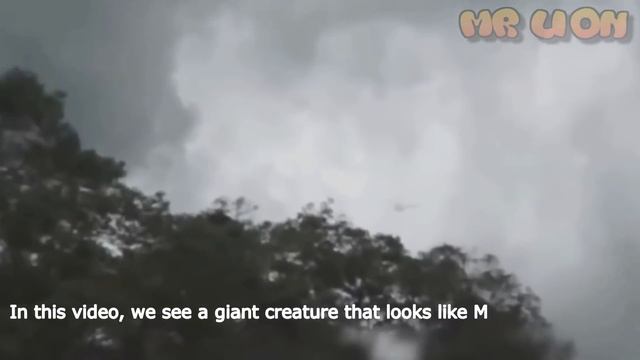 5 Godzilla Characters Caught On Camera & Spotted In Real Life 2