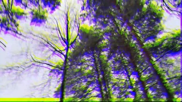 Красоты зимнего леса, под новогоднюю музыку. Перезалив. смотреть онлайн